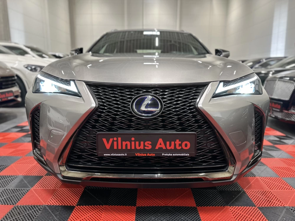 2019 Lexus UX 250h